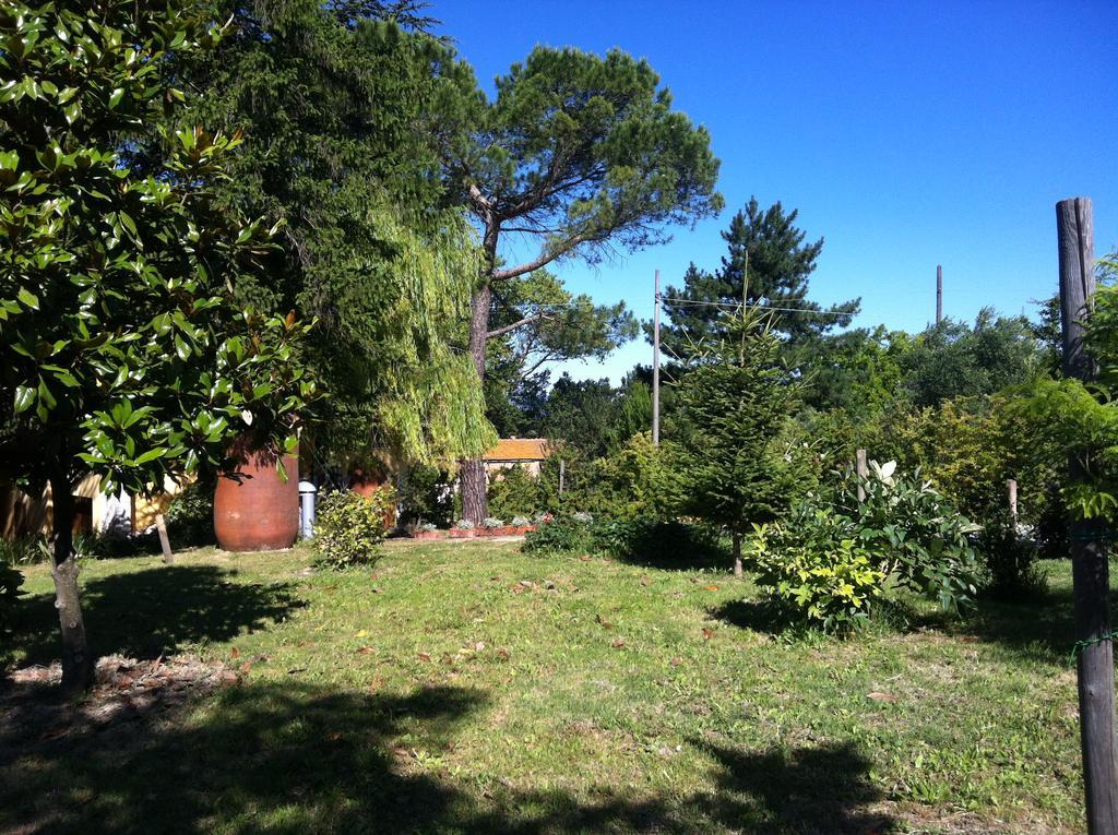 Villa Nunzia Cupramontana Esterno foto
